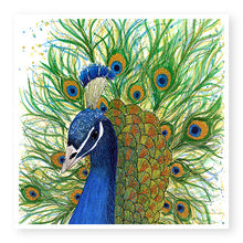 Load image into Gallery viewer, Peacock  Blank Card (IW02)