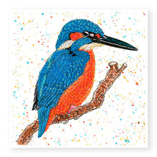 Load image into Gallery viewer, Kingfisher Blank Card (IW11)