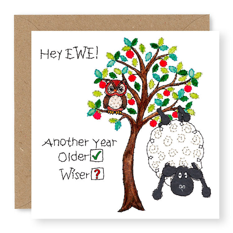 Hey EWE Older Wiser Birthday Card, (EW123)