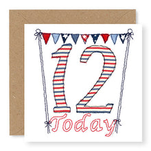 Load image into Gallery viewer, 12th Birthday Card, Boy&#39;s Age 12 Birthday Card (BD52)
