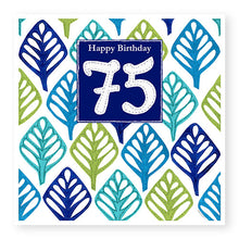 Load image into Gallery viewer, 75th Birthday Card, Age 75 Birthday Card for Him (BD94)
