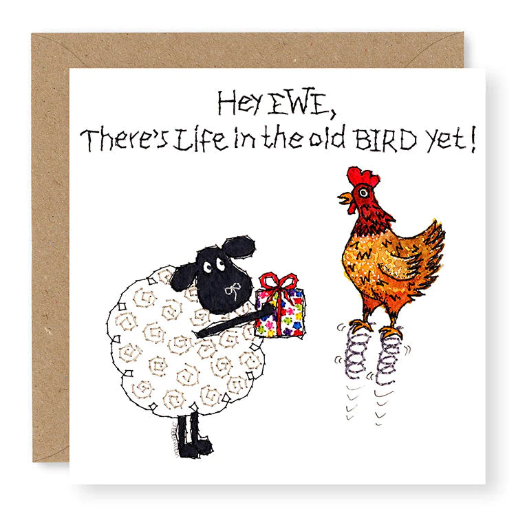 Hey EWE Old Bird Birthday Card, (EW116)